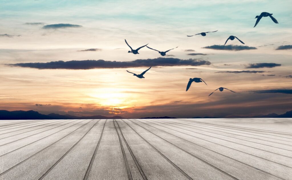 Can Failure Actually Lead to Massive Success?