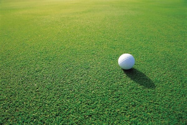 Life Is a Daring Adventure