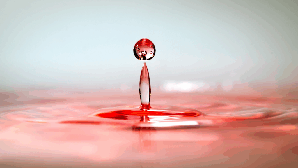 Stay Motivated by Building Momentum and Focus