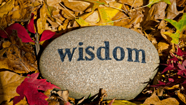35 Wisdom Quotes to Inspire Your Life