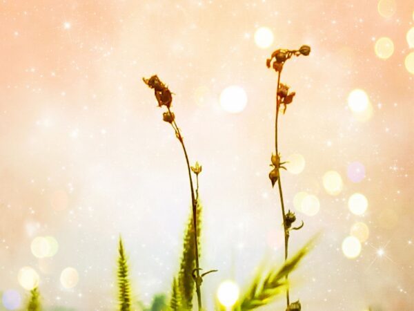 INTJ's Deepest Fear Is Their Greatest Strength