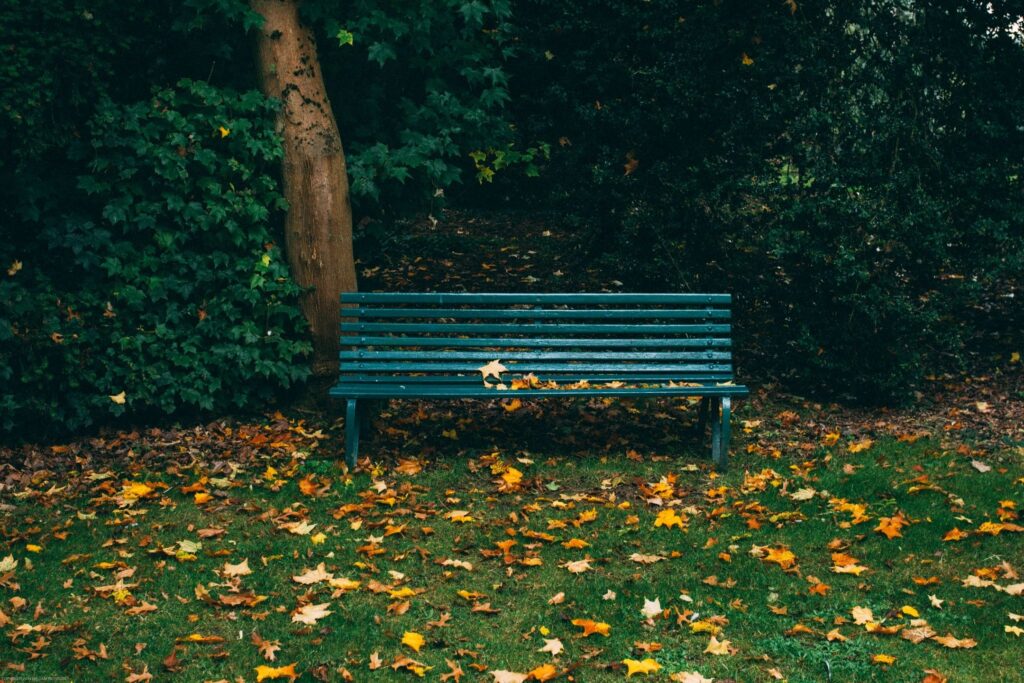 Quotes for When Life Feels Overwhelming