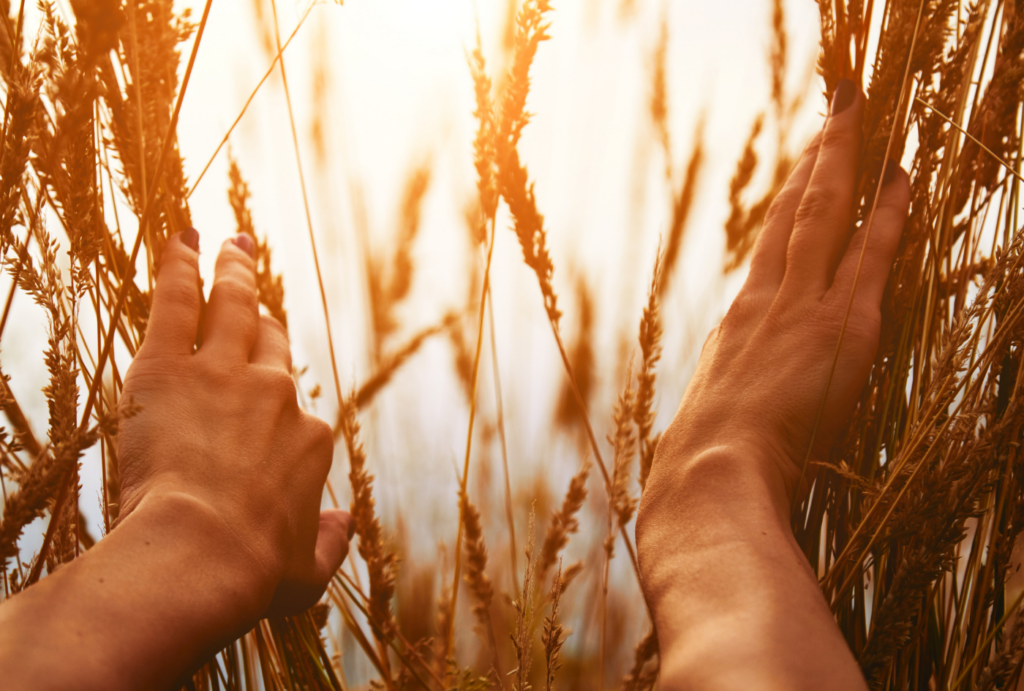 Faithful Prayers for the Future and New Hope