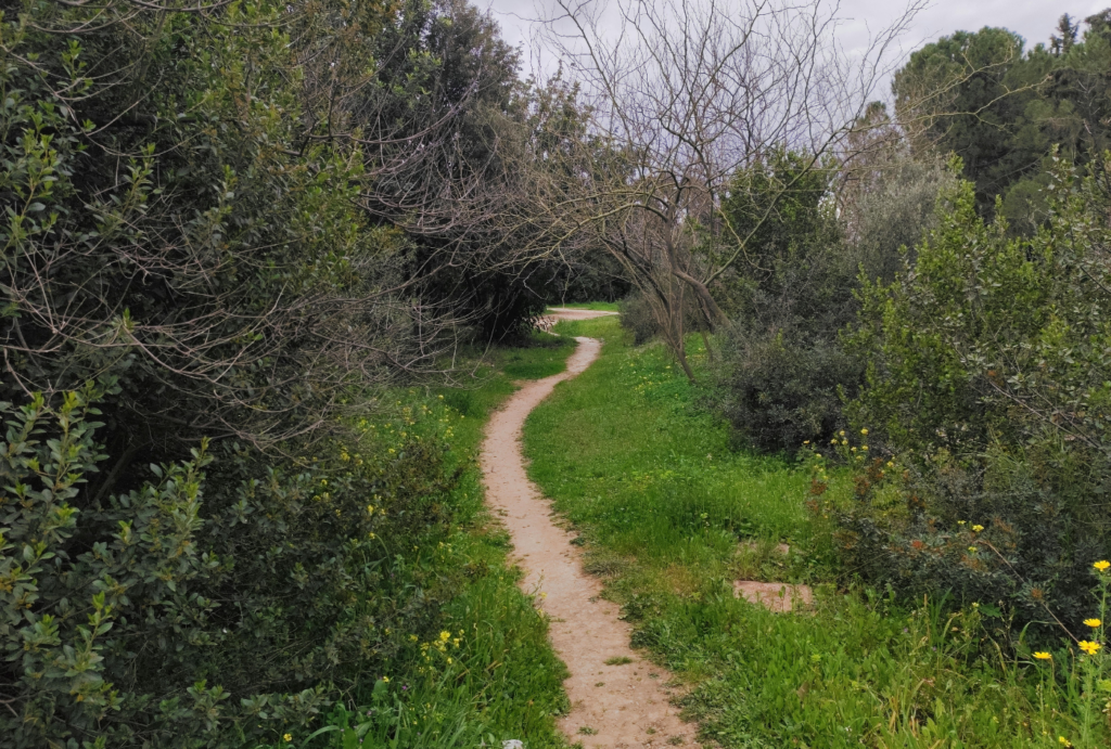 Daily Prayers for the Future to Guide Your Path